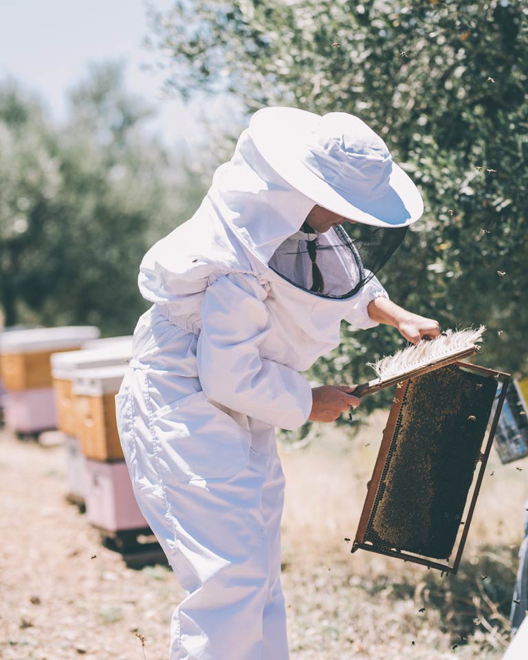 Ermionis | Μελισσοκομία Μπαϊρακτάρη